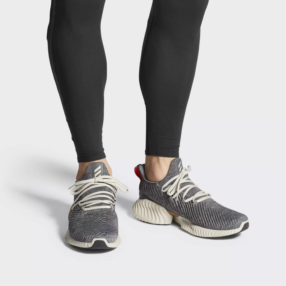 Adidas Alphabounce Instinct Tenis Para Correr Grises Para Hombre (MX-83465)